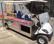 Carro electrico