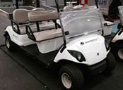 Carro electrico
