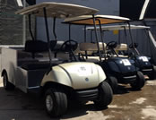 Carro electrico