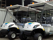 Carro electrico
